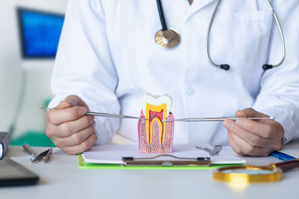 Best Chipped Tooth Repair Near Me  in Opelousas, LA